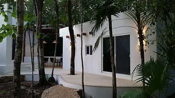 Pura Vida Cancun Guesthouse.