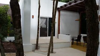 Pura Vida Cancun Guesthouse. Mexico