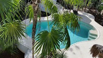 Pura Vida Cancun Guesthouse.