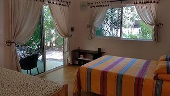 Hotel Pura Vida Cancun Guesthouse.