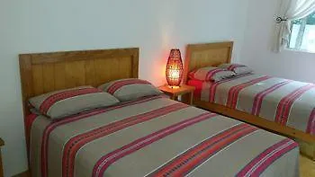 Hotel Pura Vida Cancun Guesthouse.