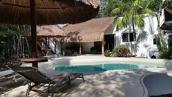 Pura Vida Cancun Guesthouse. 3*,
