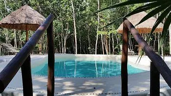 Pura Vida Cancun Guesthouse. Hotel