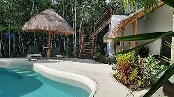 Pura Vida Cancun Guesthouse. 3*,  Mexico