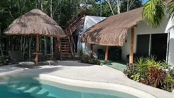 Pura Vida Cancun Guesthouse.