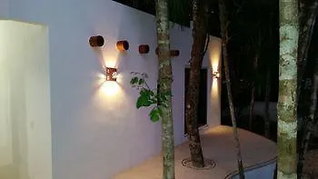 Pura Vida Cancun Guesthouse. 3*,  Mexico