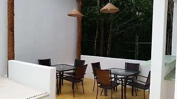 Pura Vida Cancun Guesthouse.