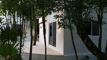 Hotel Pura Vida Cancun Guesthouse.