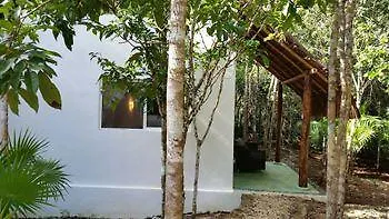 Pura Vida Cancun Guesthouse.